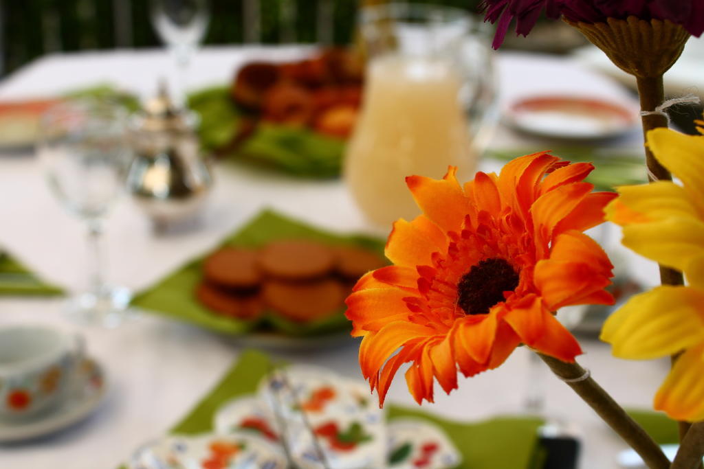 La Casa Della Musica Bed and Breakfast Ciampino Zewnętrze zdjęcie